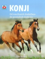 Konji